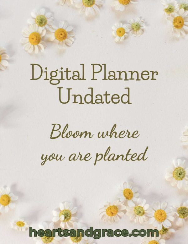 digital-planner-undated
